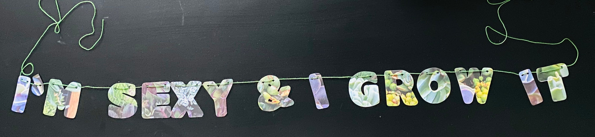 I'm sexy & I grow it banner