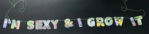 I'm sexy & I grow it banner