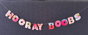Hooray boobs banner