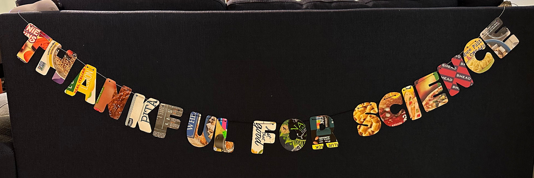 Thankful for science banner